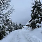 Tam Gdzie Rosna Poziomki * Kacwin