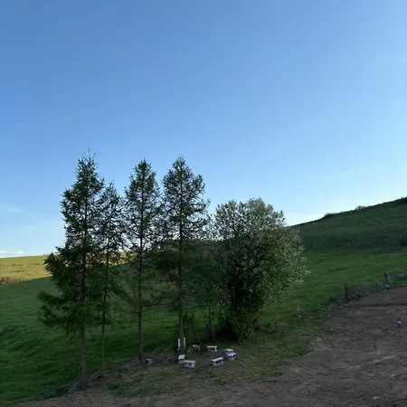Apartment Tam Gdzie Rosna Poziomki *